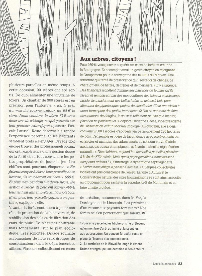 Bois d'ici - article Les 4 saisons - page 4