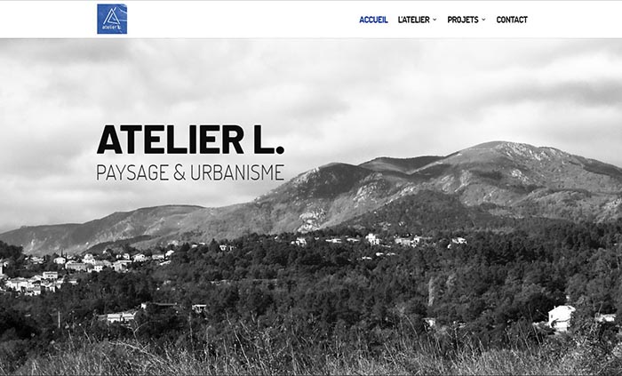 Page accueil site Réseau de la région Rhône-Alpes